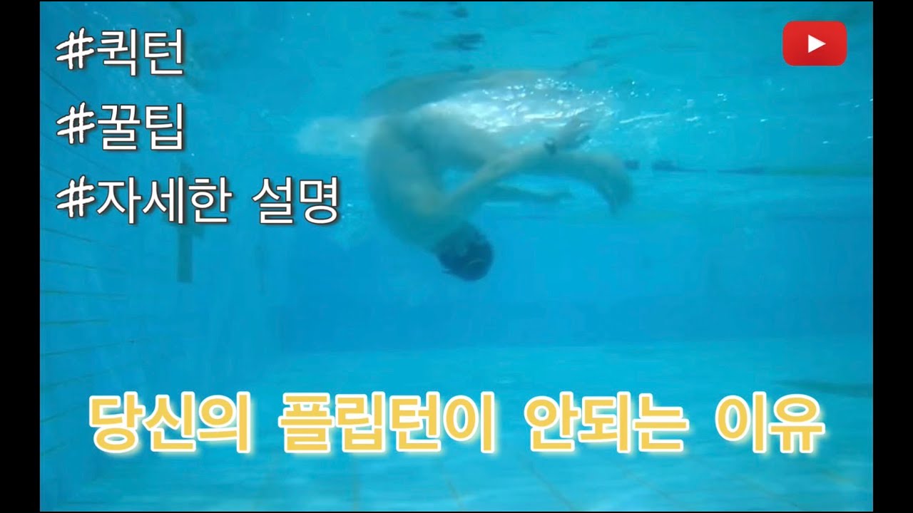 당신의 플립턴이 안되는 이유(꿀팁, 자세한 설명)