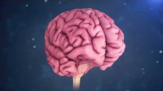 Brain Disinhibition and Recalled Experiences of Death