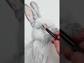 Let&#39;s Draw... A Rabbit #arttutorials #drawing #coloredpencil #prismacolor #colourpencil