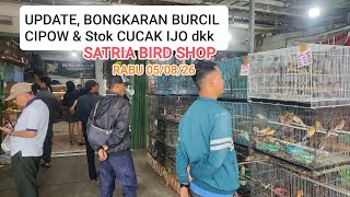 Update harga & stok burung cucak ijo,bongkaran cipow dkk satria bird shop Rabu 05/08/26