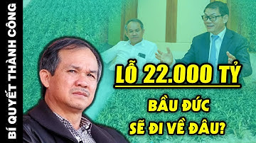 Bầu Đức NGÃ NGỬA khi tỷ phú Trần Bá Dương BẤT NGỜ tuyên bố DỪNG ĐẦU TƯ vào Hoàng Anh Gia Lai
