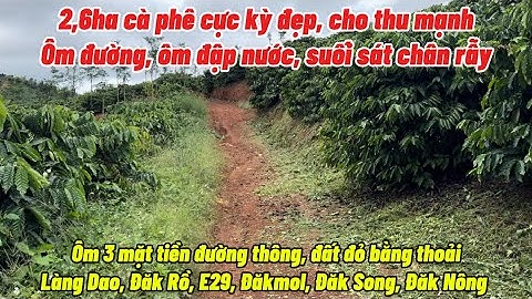 BÁN VƯỜN CÀ PHÊ SIÊU ĐẸP. ĐẤT CHƯA SỔ, GẦN DÂN CƯ 