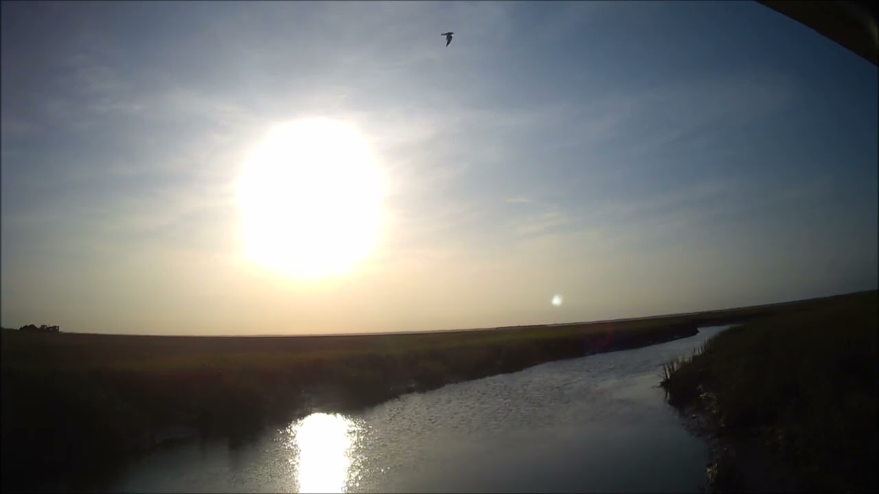Marsh Boardwalk Camera Hunting Island Timelapsed 2x Speed