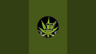 TerpyTom is live!