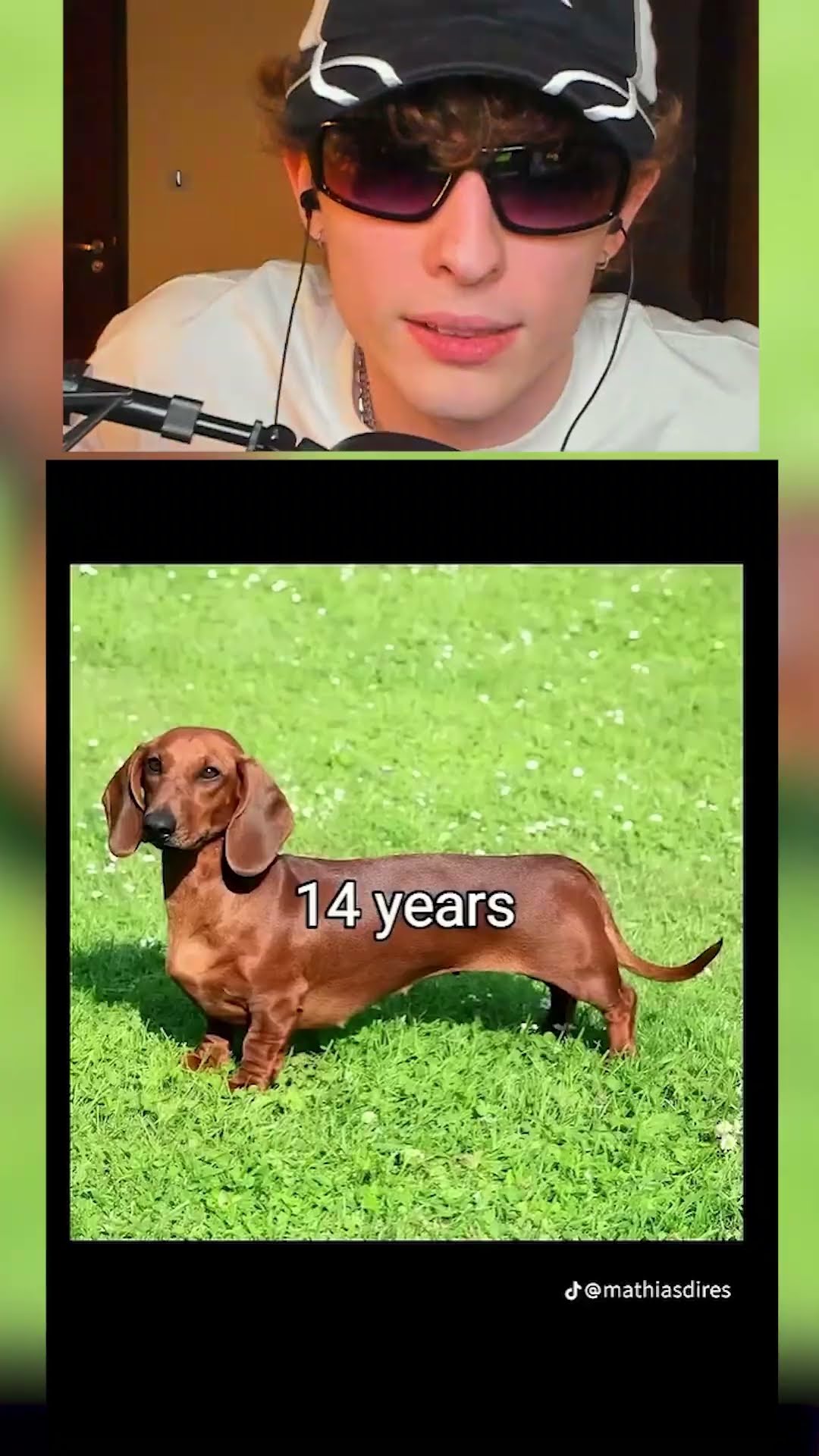 El RECORD del perro?
