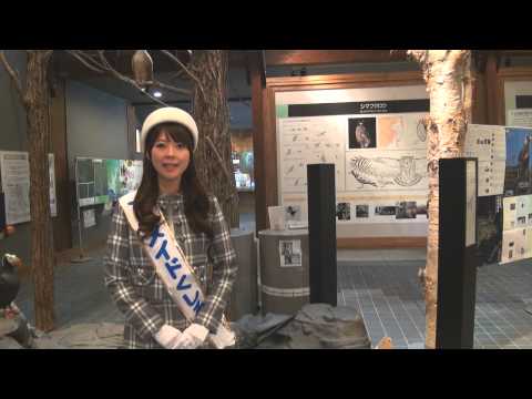 道産娘のぶらり北海道観光　釧路湿原野生生物保護センター