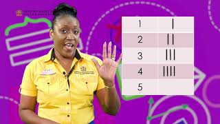 Mathematics Constructing Tally Charts Grade 2