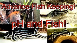 Fish and pH - Why is pH Important in Fish Keeping! Subscribe for more!!!