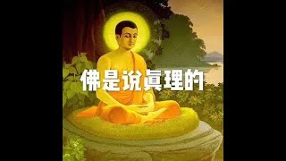 201604 佛是说真理的21856