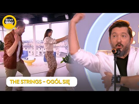 THE STRINGS - OGÓL SIĘ  | Dzień Dobry TVN