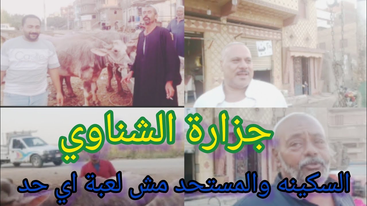 محاربه ضد غلاء اللحوم جزارة الشناوي