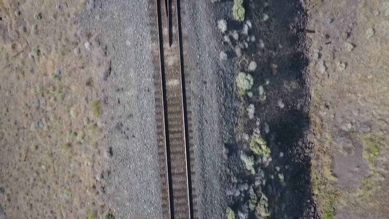 Lyon's Ferry Bridges and some big bucks.