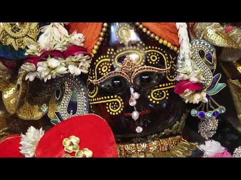 Divine intoxicated Eyes of Shri Radha vallabh Lal | Braj Ras