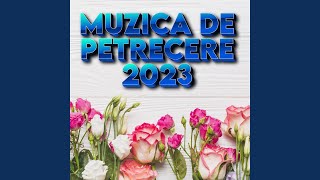 Petrecere NOU 2023 CEL MAI BUN COLAJ