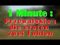 1 Minute : Prezewalskis - die ersten zwei Fohlen