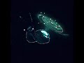 Purga - Улитка