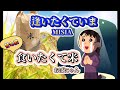 【替え歌】『食いたくて米』逢いたくていまMISIAサンの替え歌唄わせて頂きました🙇