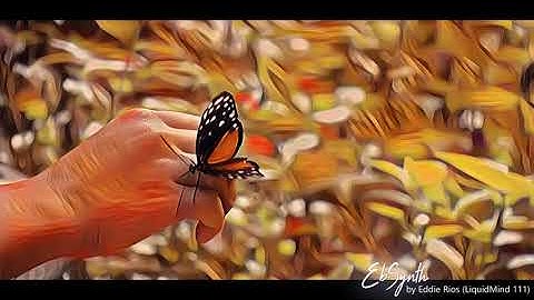 EBSYNTH: 4k DEEP DREAM BUTTERFLIES (EXTENDED Ft. Miyoki)