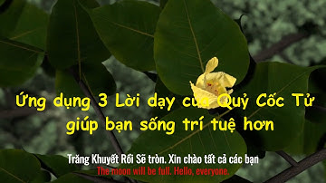 Ứng dụng 3 Lời dạy của Quỷ Cốc Tử giúp bạn sống trí tuệ hơn| Triết lý sống #baihoccuocsong #buddha