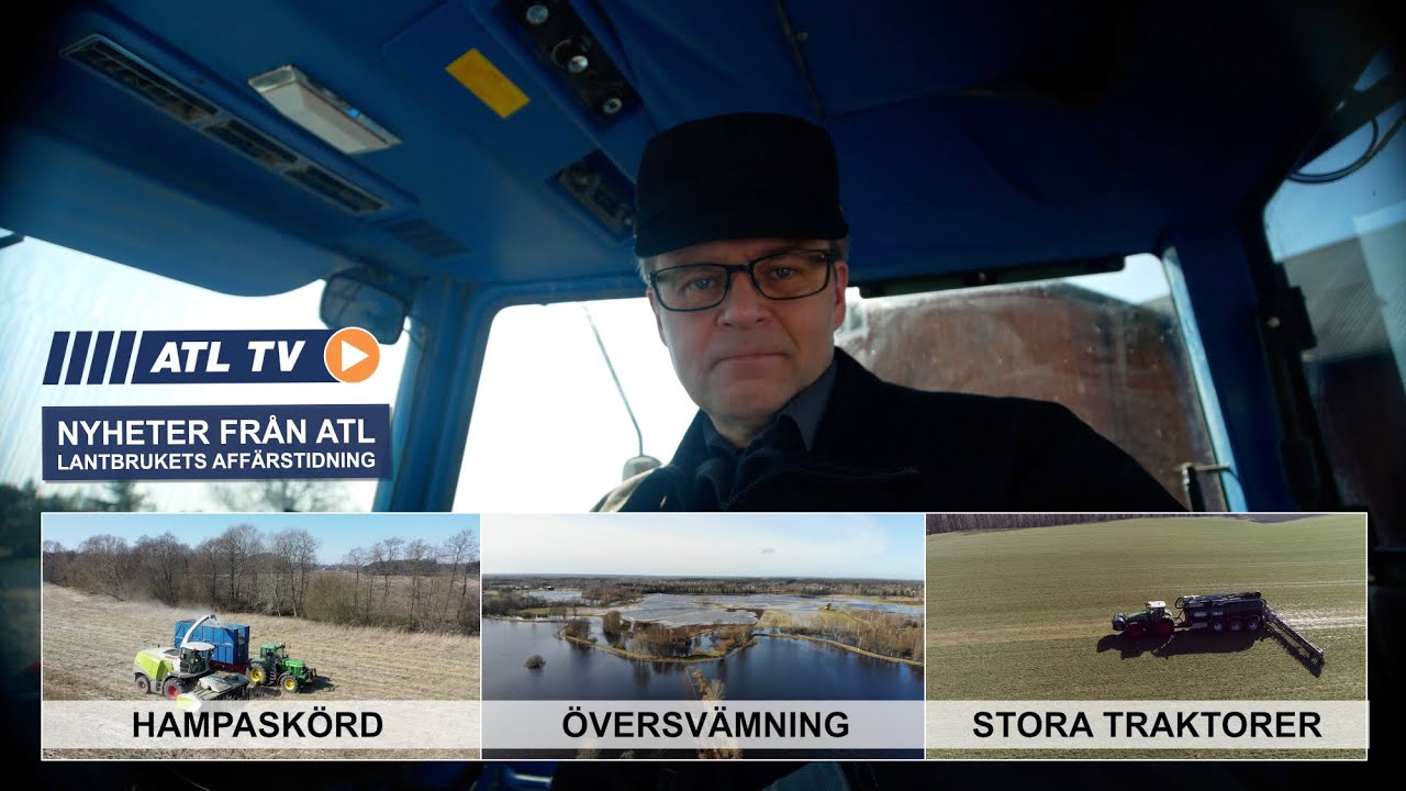 ATL TV: Stora traktorer • Vildsvin orsakade översvämning • Hampa blir isolering