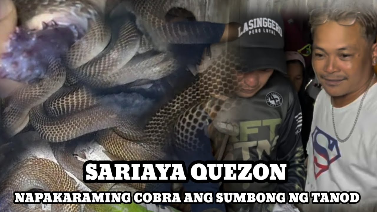 ANIM NA COBRA SA DURABOX ANG SUMBONG NG TAO