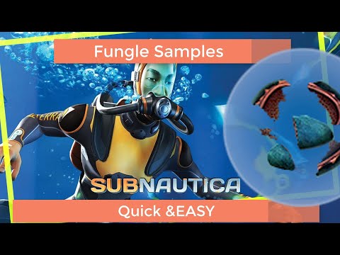 Subnautica So finden Sie schnell und einfach eine Pilzprobe