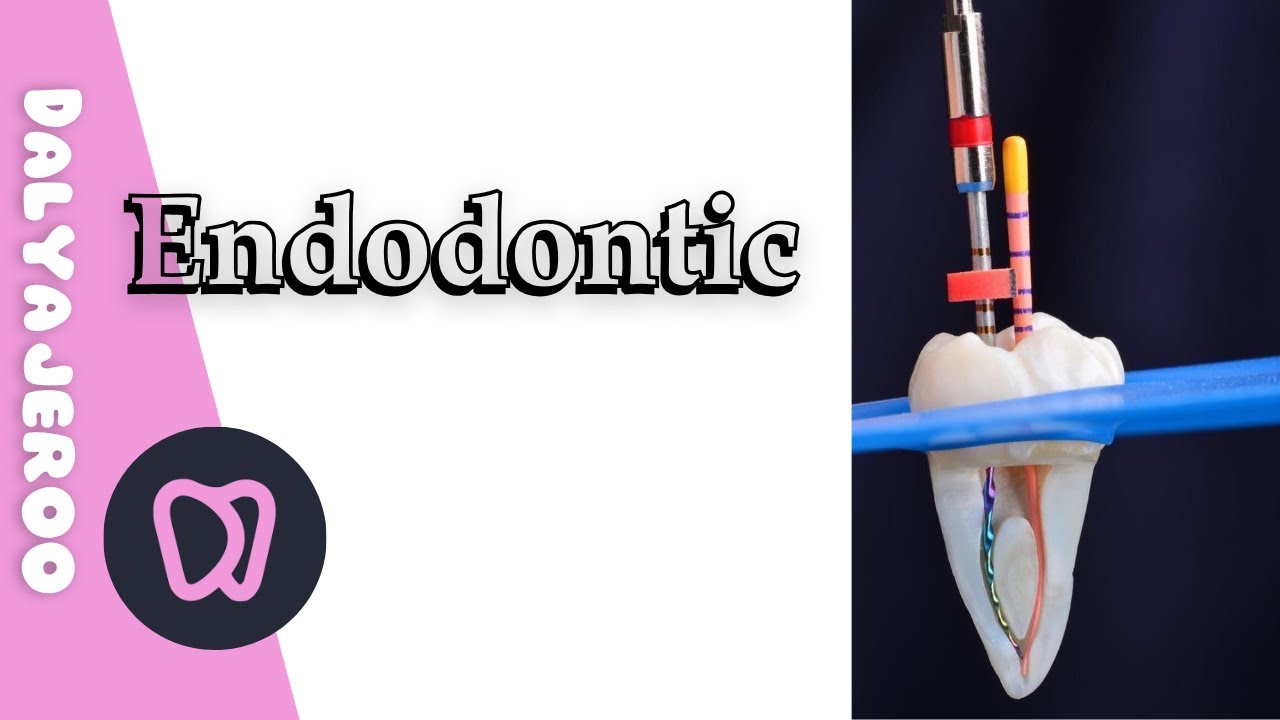 Endodontic treatment | اول محاضرة من شرح حشوات العصب بطريقة بسيطة