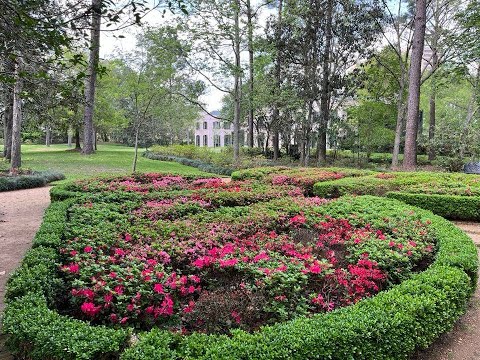 Video: A Guide to Bayou Bend Collection and Gardens