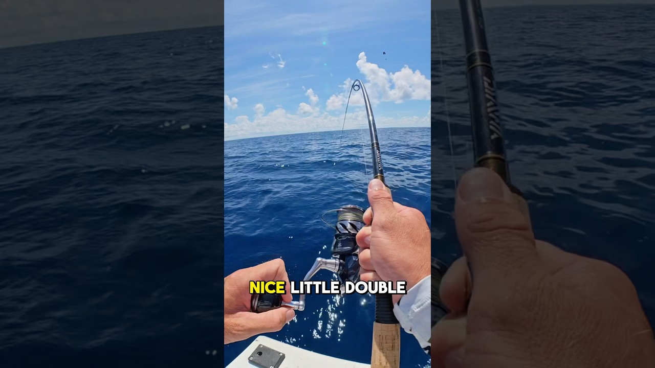 Double Hookup Chaos! Drag Screaming Madness 🎣🔥