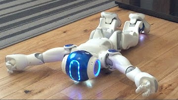 Nao Robot Gets Up After Falling Forwards
