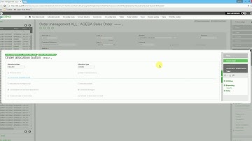 Part 5 Allocating the sales order