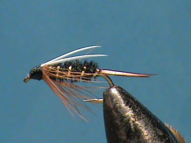 Fly Tying a Helgramite with Jim Misiura 