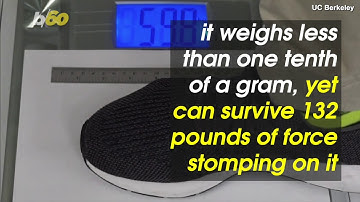 UC Berkeley Scientists Develop Roach-Inspired Robot That Can Survive Being Stomped On