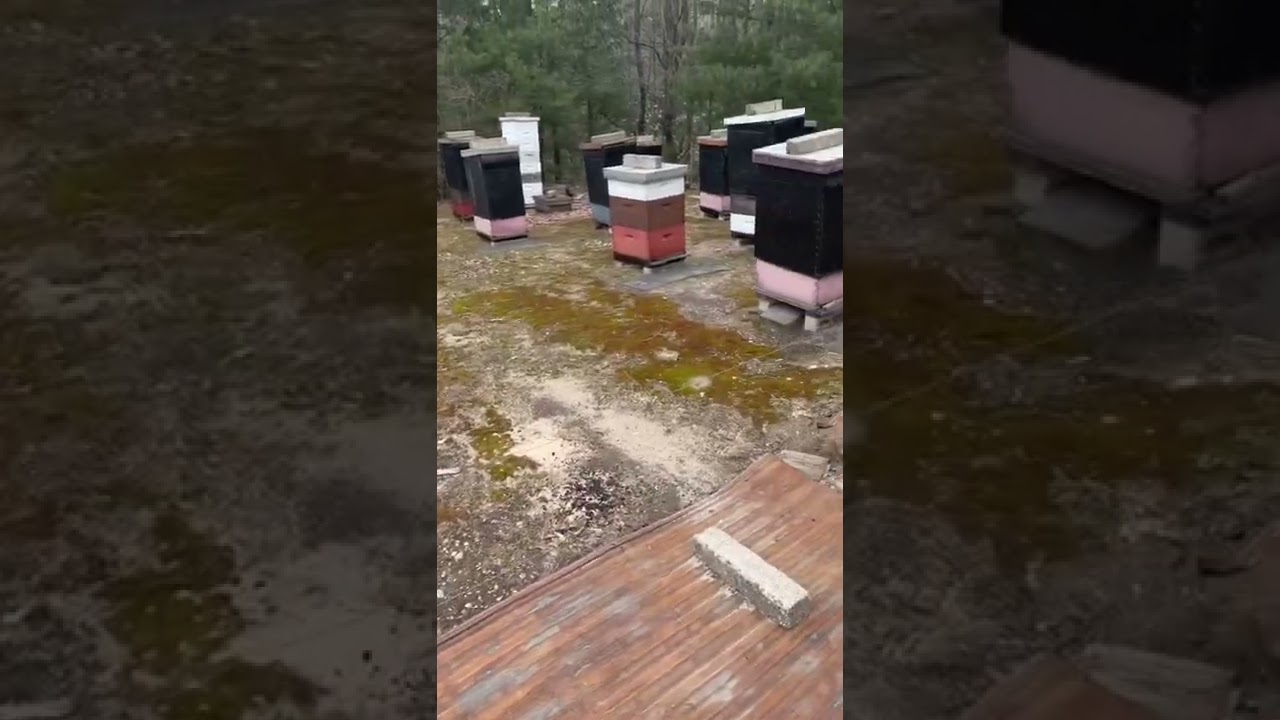 True organic honey ! 