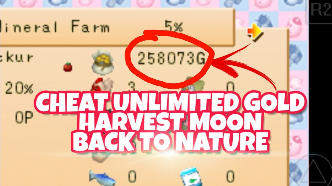  Harvest  Moon  Back  to Nature  Cheat  Unlimited  Gold YouTube