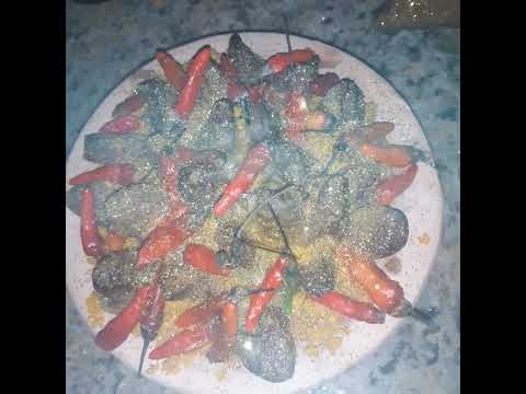 oferenda pombo gira