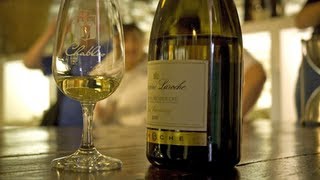 Chablis France • Chablis Wine Tasting in the Burgundy Wine Region | European Waterways