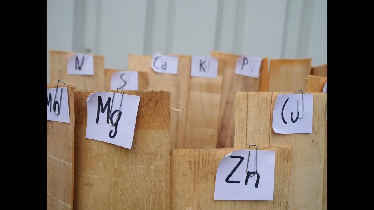 Darum ist das Gesetz vom Minimum nach Liebig mit der Minimumtonne nur