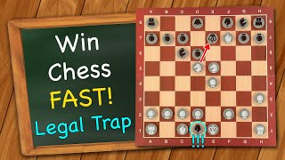 Celebrity How to win chess FAST (8 moves) | Legal Trap Net Worth