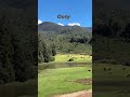 ooty,