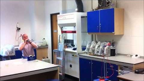 The Shoot The Monkey Experiment