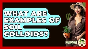 What Are Examples Of Soil Colloids? - The Plant Enthusiast