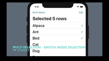 Multiple Selection with switch mode selection (one or more) | SwiftUI | Working with List