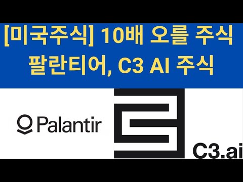 미국주식 10배 오를 주식 팔란티어 C3 AI 주식 