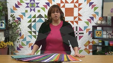 Urban Basix Block of the Month Kit Preview