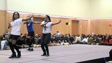 8th Annual Cross The Sands Stroll Competition | Zeta Phi Beta - Round 2