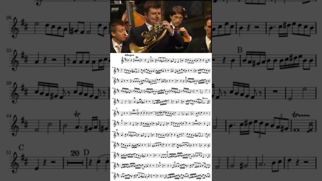 Guarda Radek Baborák - Mozart's Horn Concerto No. 1 in D major, - solo French horn - sheet music su YouTube Guarda Radek Baborák - Mozart's Horn Concerto No. 1 in D major, - solo French horn - sheet music su YouTube
