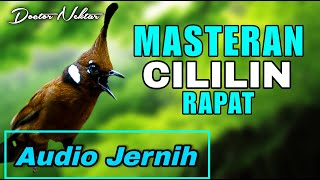 Download Lagu MASTERAN CILILIN GACOR FULL NEMBAK PANJANG AUDIO JERNIH COCOK BUAT ISIAN MURAI BATU FIGHTER MP3