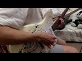 SCANDAL -OVER (Guitar Cover)
