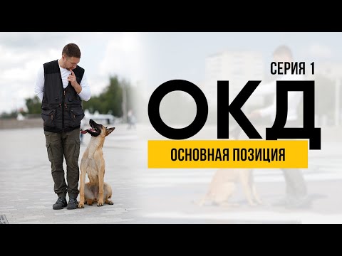 Видео: Как выбрать дрессировщика